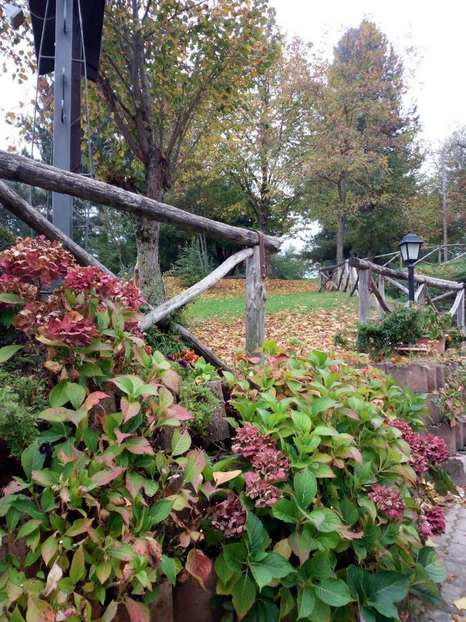 Bed and Breakfast Il Castagno Montemonaco Exterior foto